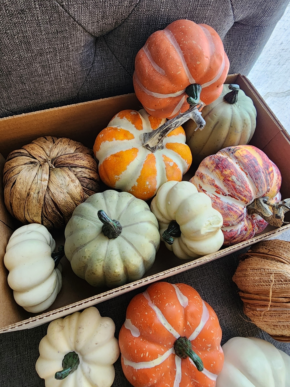 Assortrd Mini Pumpkins
